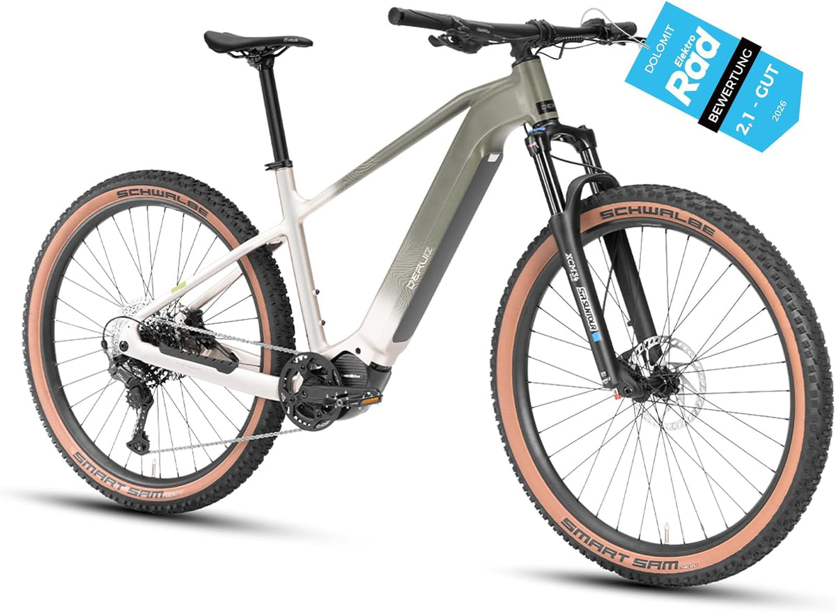 DERUIZ Dolomit E Bike 29 * 2.6 Zoll MTB mit 250W 110Nm Mittelmotor